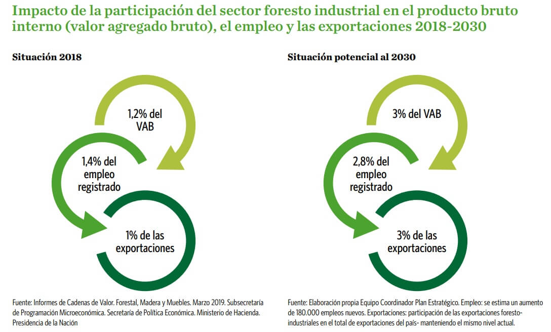 Cuáles son las expectativas para 2030 del sector forestal nacional 2 participación del sector forestal