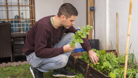Huerta urbana: cómo conseguir cultivos muy productivos en espacios reducidos.