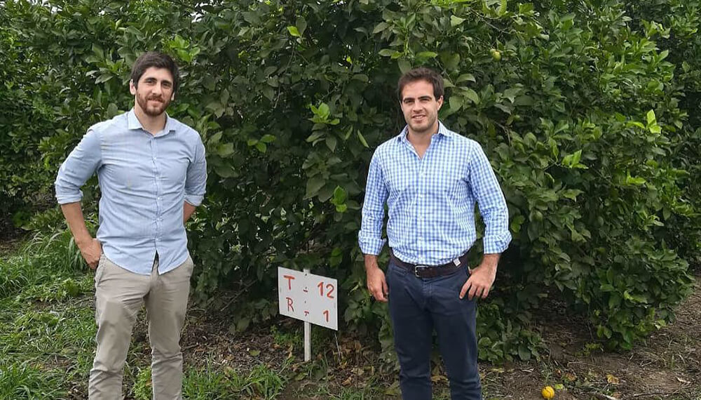Nanótica Agro: Julio Laurenza - Matías Badano - Nanótica Agro en un campo de limón. 
