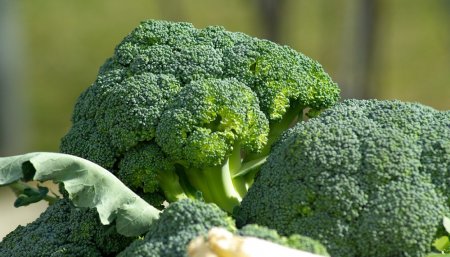brócoli
