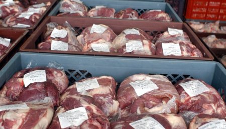 carne exportacion infocampo