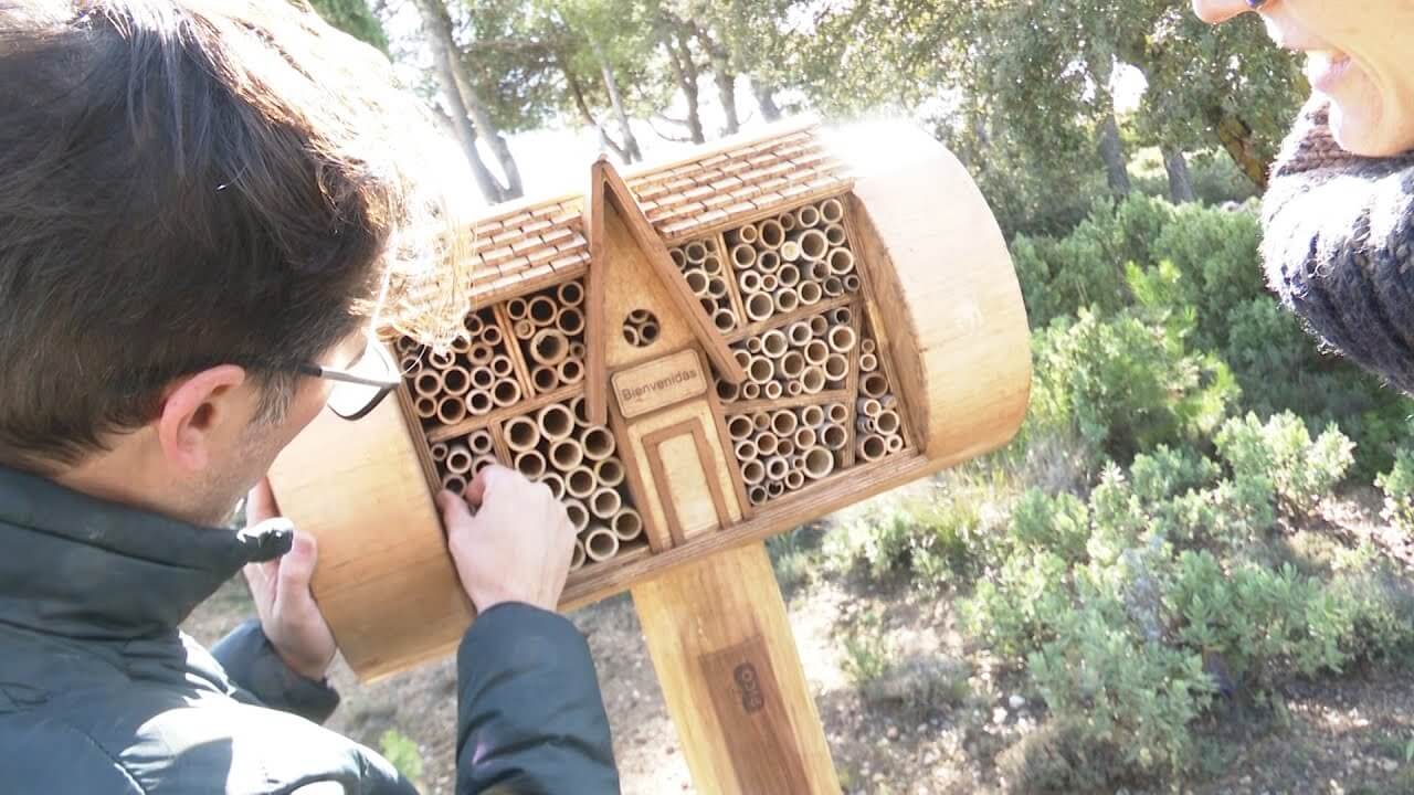 Abrieron el primer hotel para abejas del mundo 1 hotel abejas
