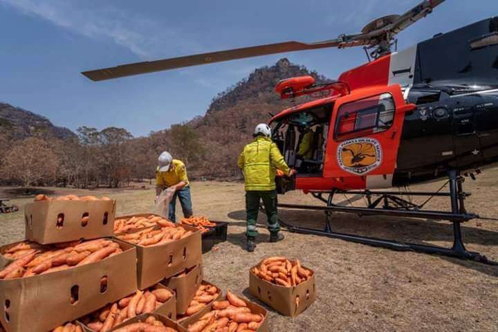 helicoptero australia
