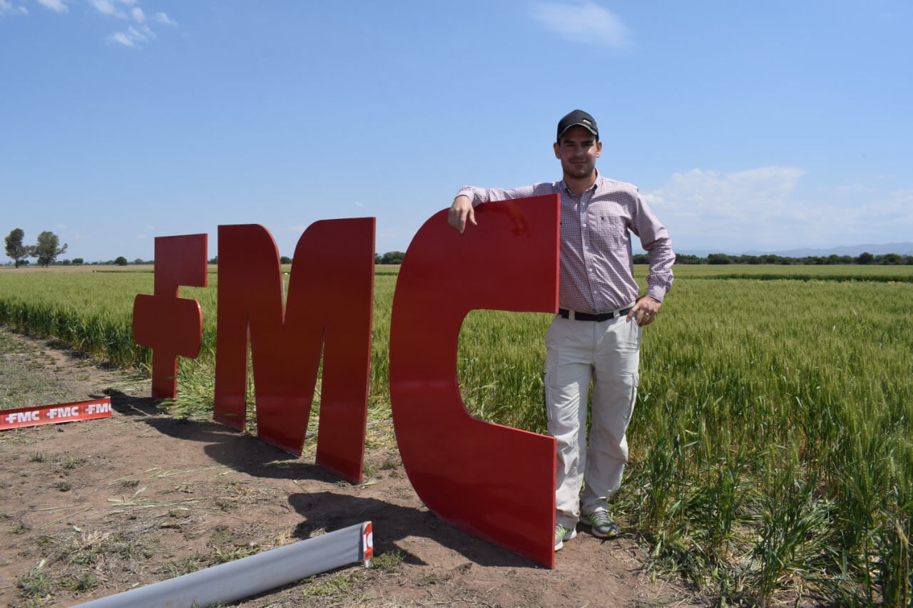 cultivo soja ingeniero agronomo