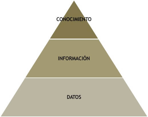 Figura 1