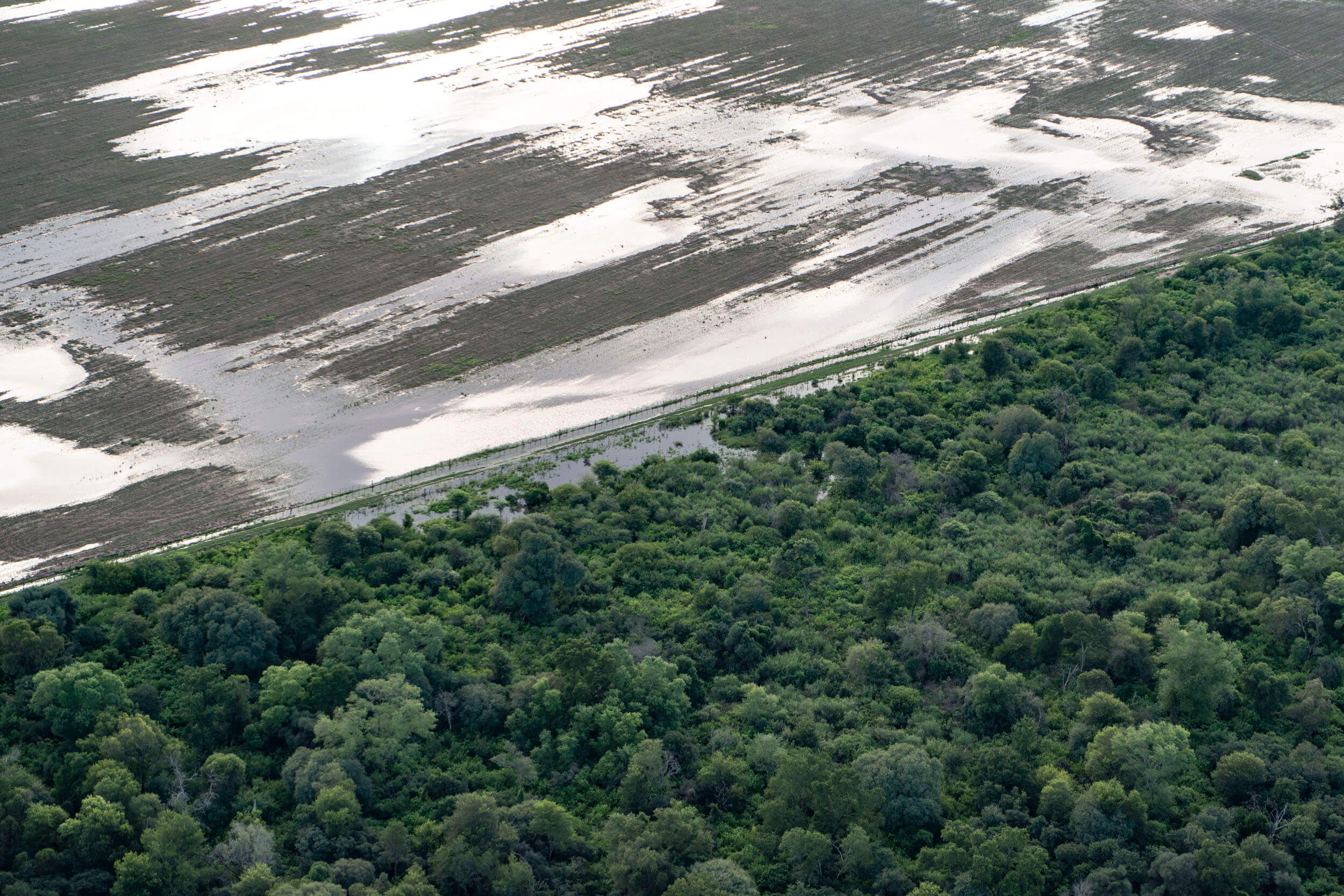 desmonte bosques inundaciones