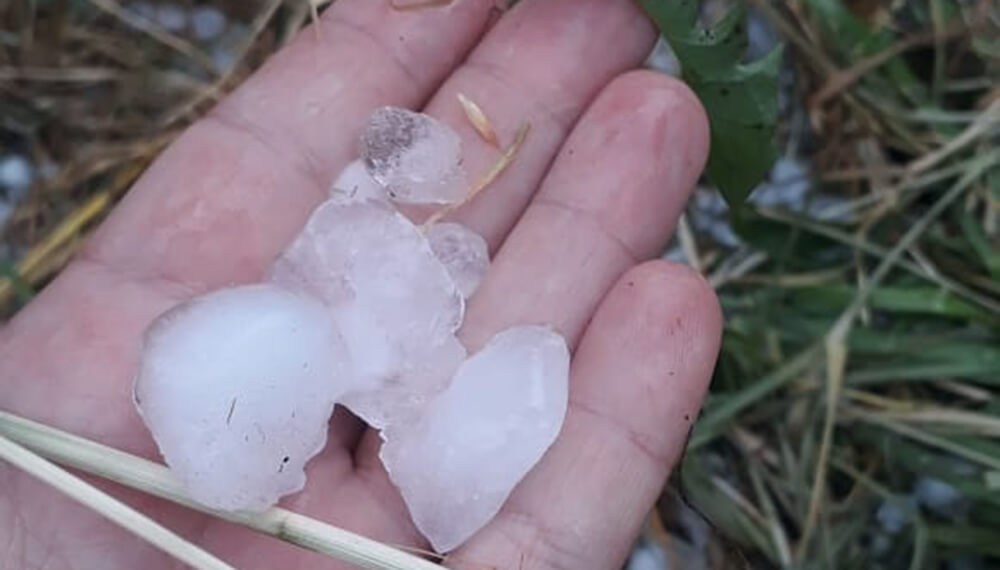 Clima: daños por granizo en Villa Regina, Río Negro