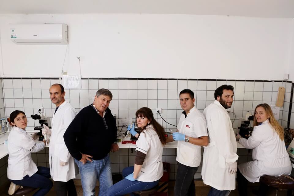 Investigadores de la UNLP buscan mejorar la fertilidad de las vacas lecheras 1 Investigadores de la UNLP en un laboratorio