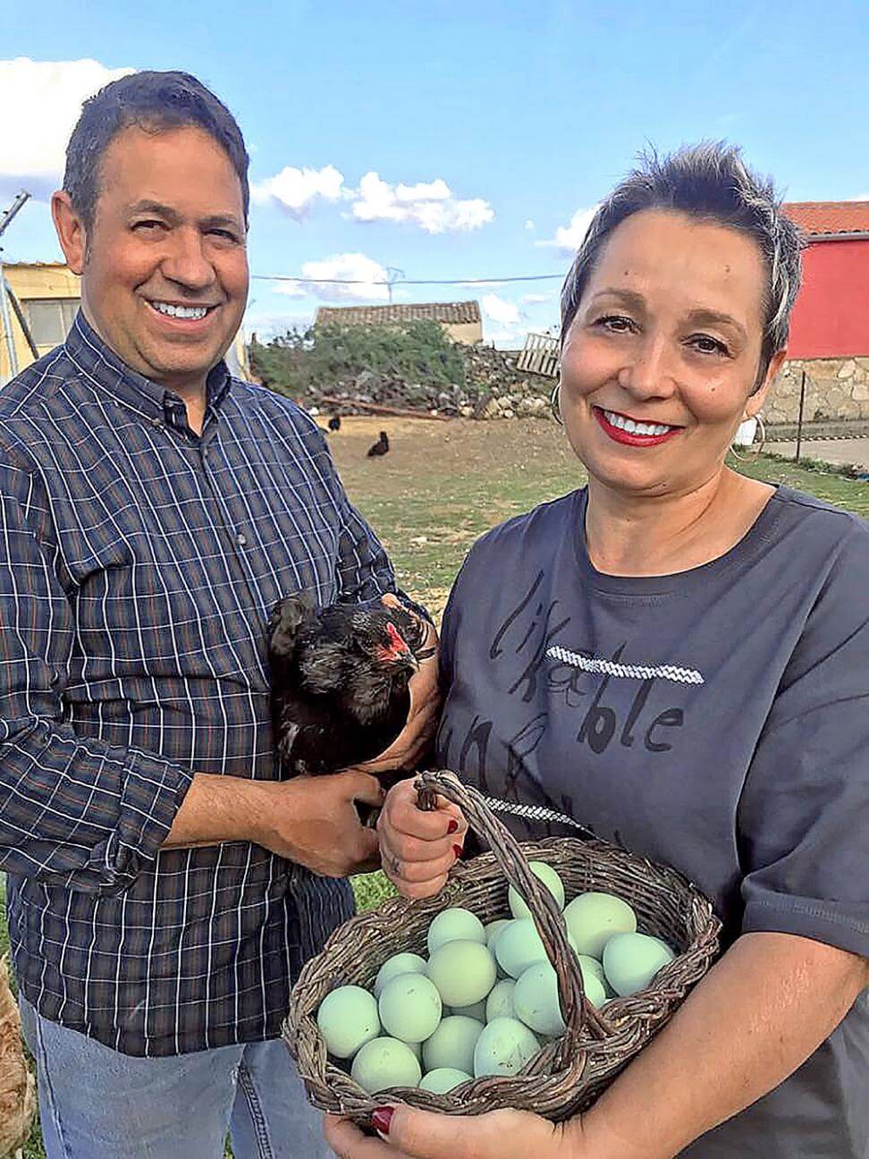Gallina araucana y sus huevos