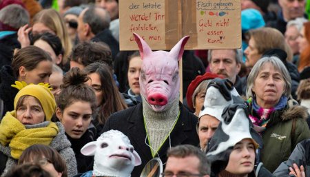 animales protesta