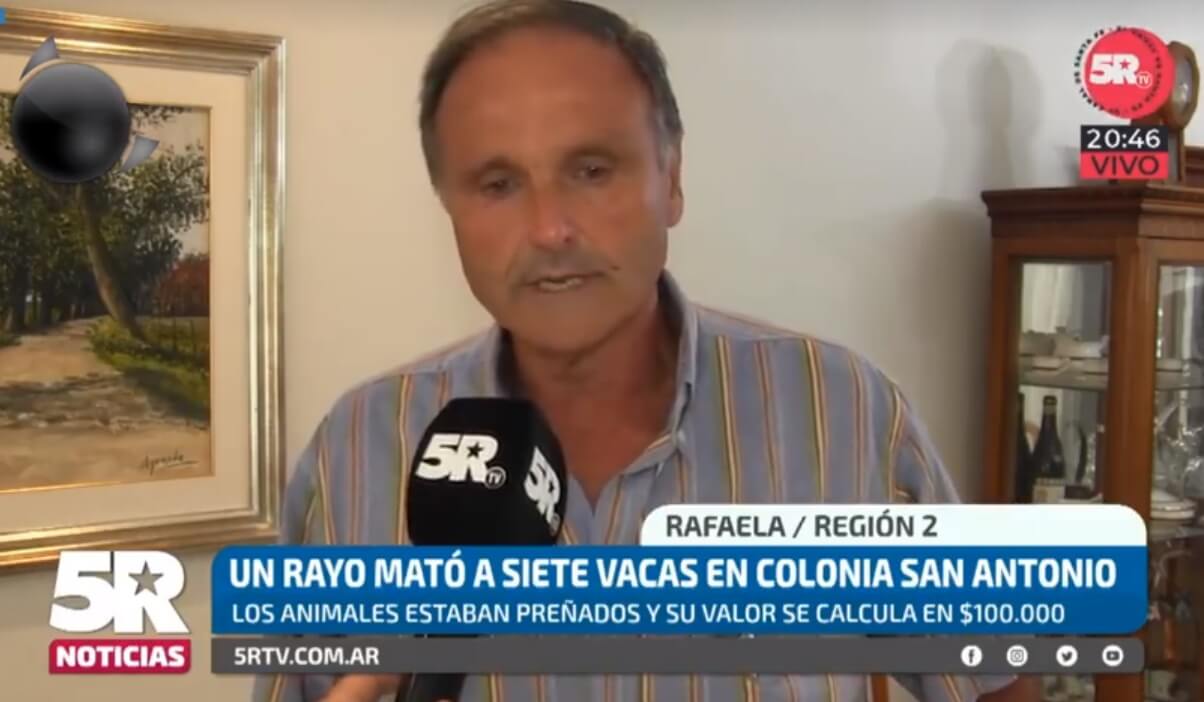 Un rayo mató siete vacas preñadas en Santa Fe 2 Productor dando una entrevista