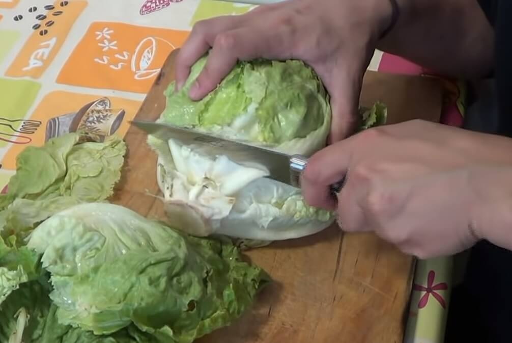 Lechuga siendo cortada
