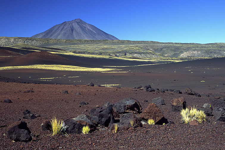 reserva payunia
