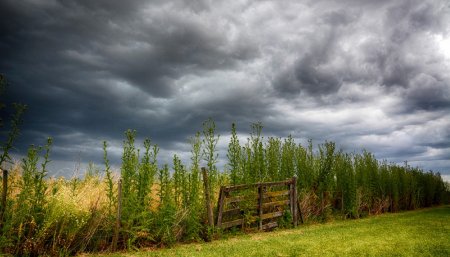 campo tormenta