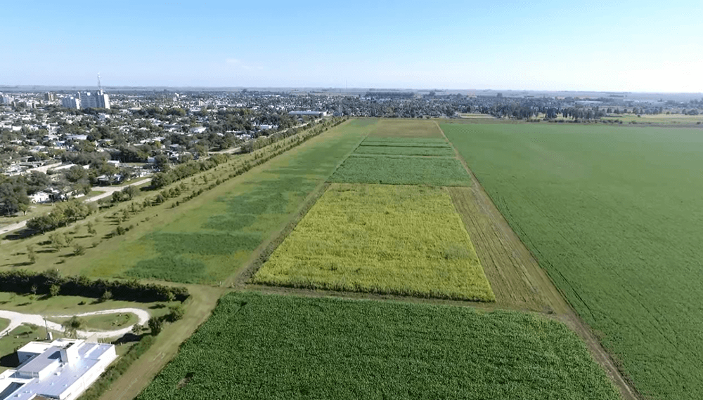 Vista aéres de cultivo periurbanos