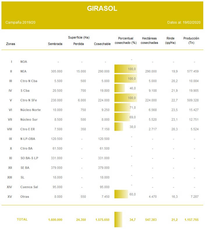 Ya se cosechó el 34,7% del área apta de girasol 1 panorama de girasol