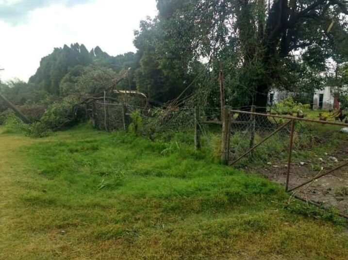 Destrozos al oeste de Entre Ríos por un tornado 4 alambrado destrozado por un tornado