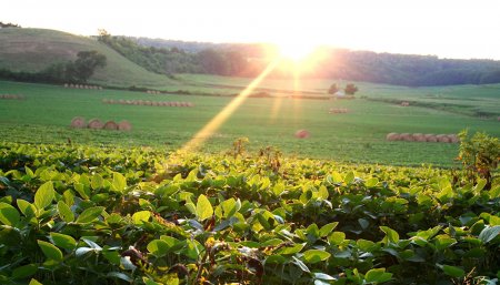 clima-campo-soleado