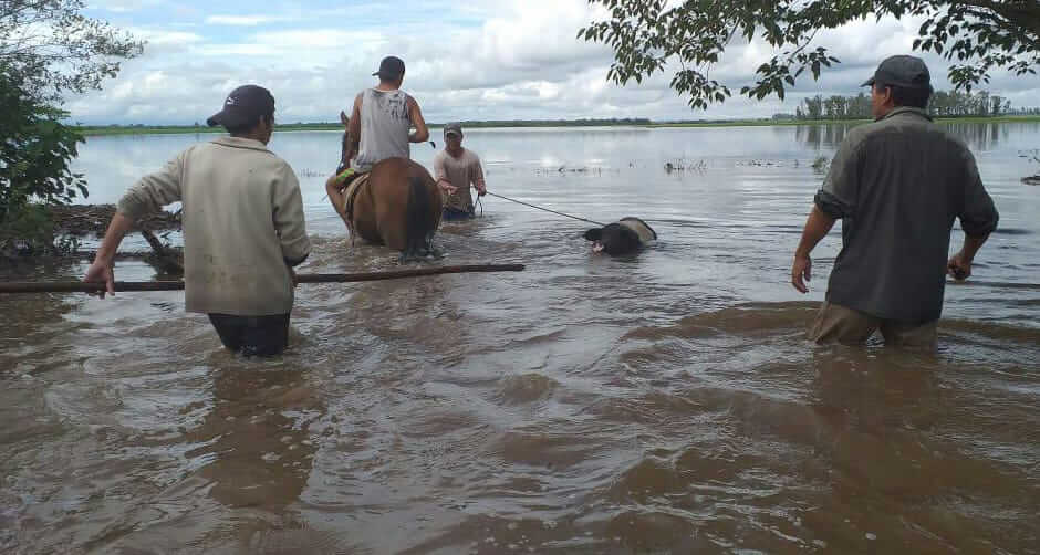 Las imágenes de las inundaciones en Tucumán tras las lluvias del fin de semana 2 inundación