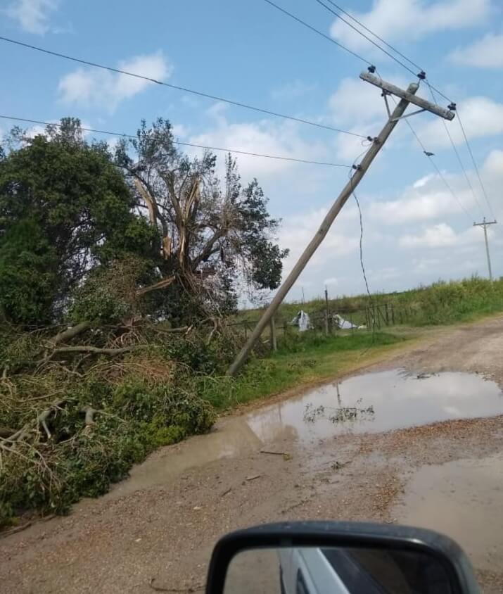 Destrozos al oeste de Entre Ríos por un tornado 7 poste de luz caído
