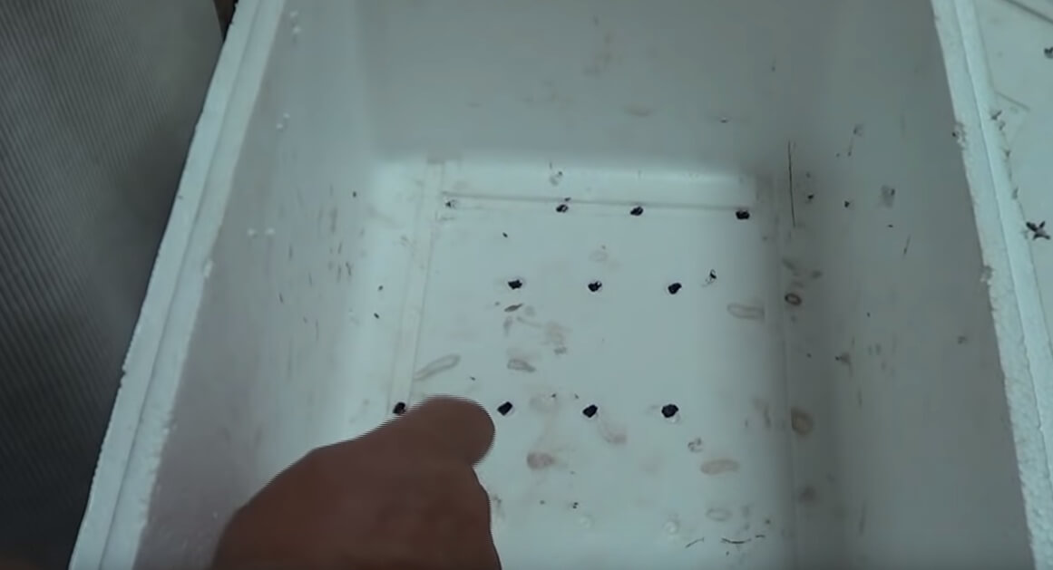 agujeros en el fondo de una caja