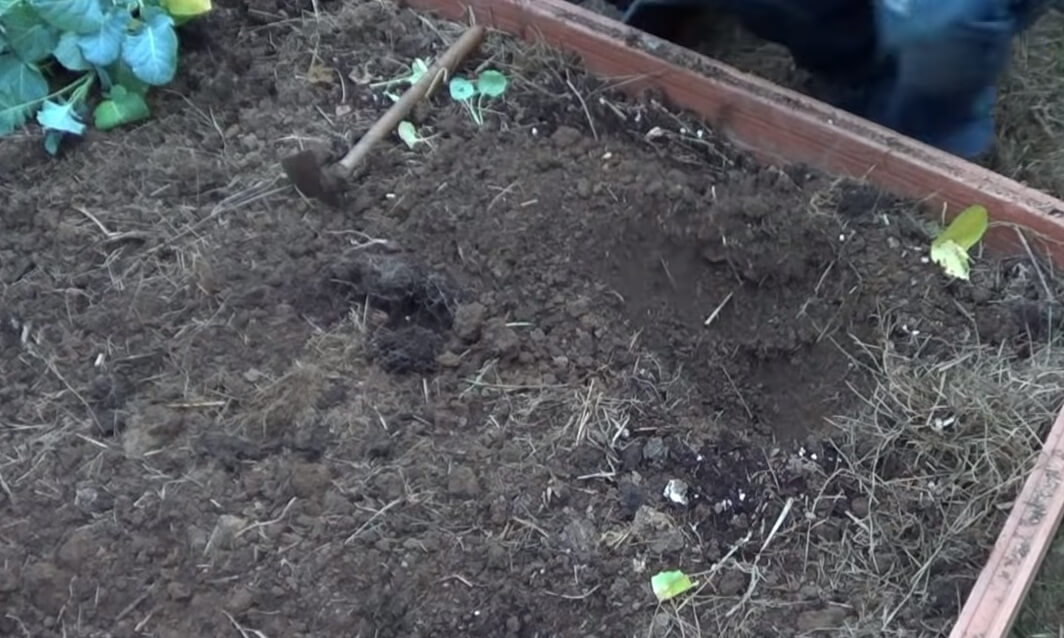 haciendo pozo en huerta