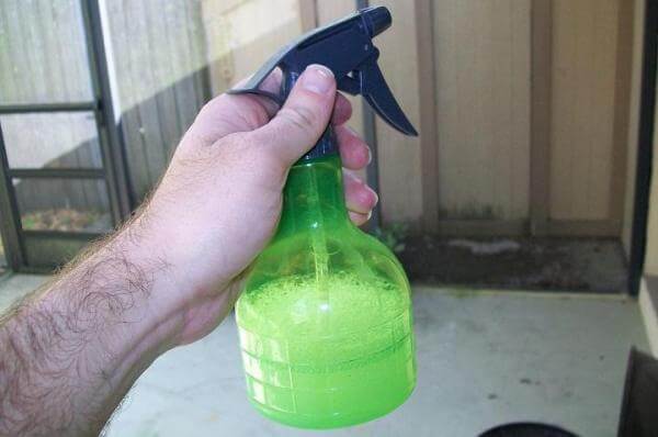 botella con vinagre botella con vinagre