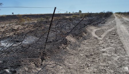 campo quemado
