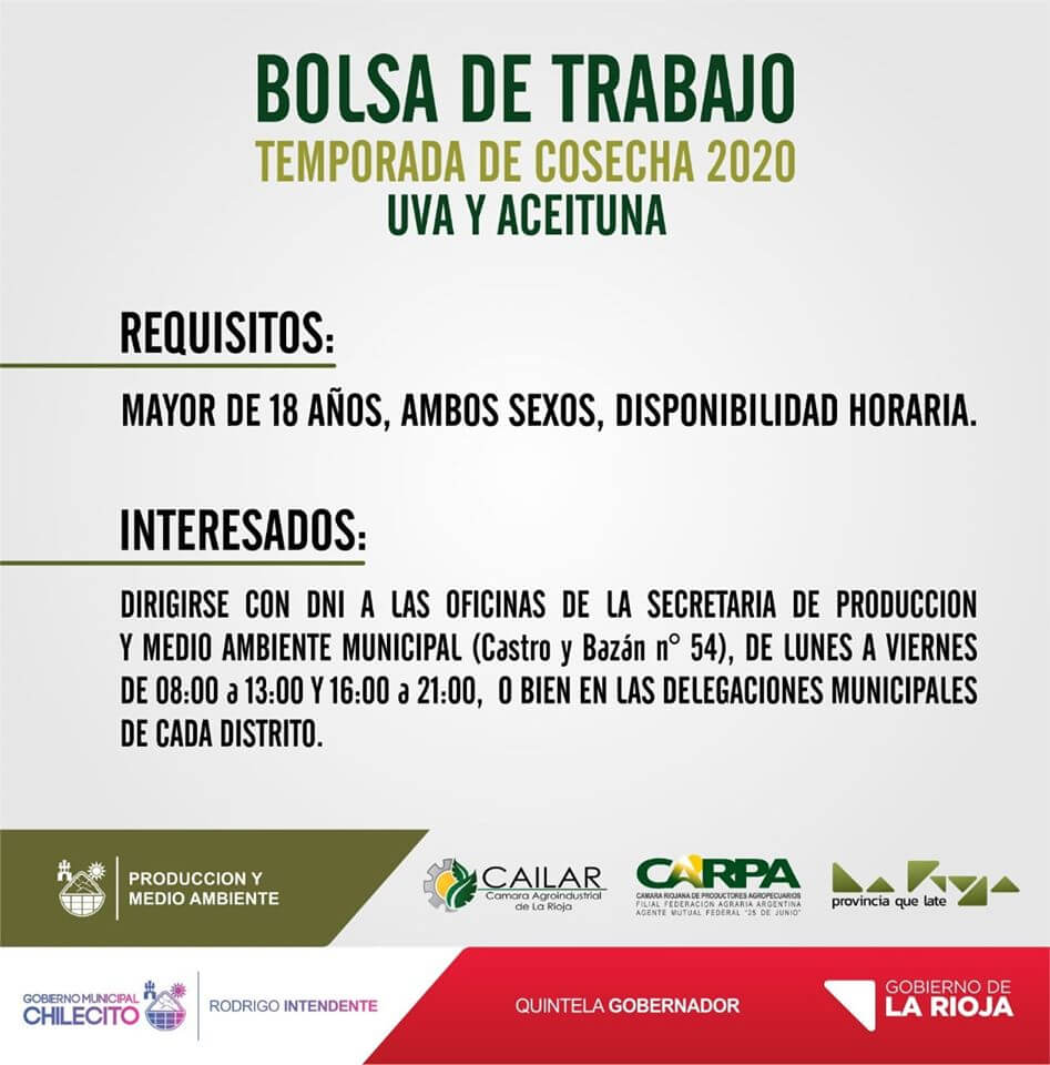 Preocupante: necesitaban 3.000 cosecheros de uvas y aceitunas en La Rioja y se presentaron tres 1 Aviso de bolsa de trabajo en la rioja
