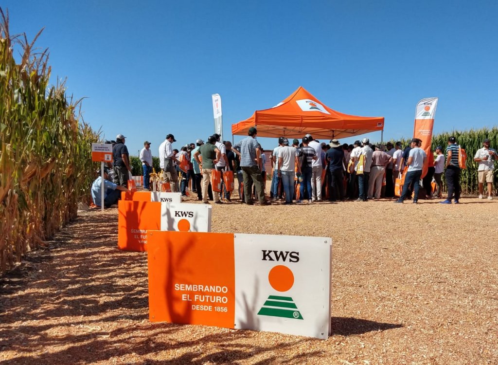 KWS realizó un nuevo "DAR" con el foco puesto en la genética y la agronomía 4 PHOTO 2020 03 05 18 16 27