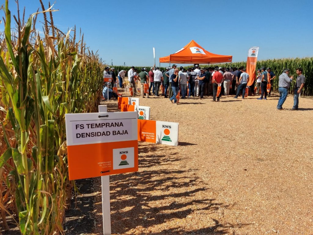 KWS realizó un nuevo "DAR" con el foco puesto en la genética y la agronomía 5 PHOTO 2020 03 05 18 17 24
