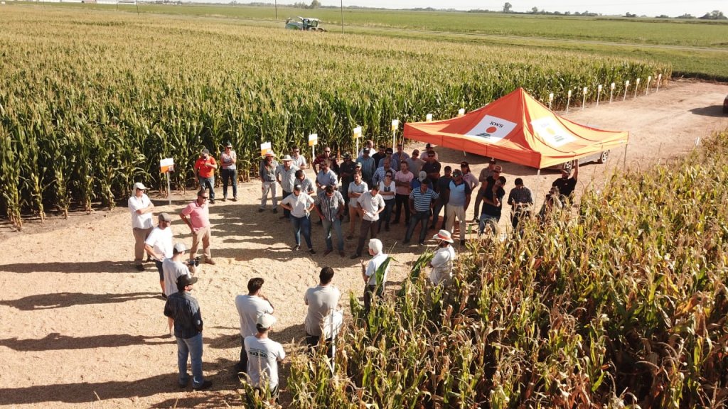 KWS realizó un nuevo "DAR" con el foco puesto en la genética y la agronomía 7 PHOTO 2020 03 05 21 03 39