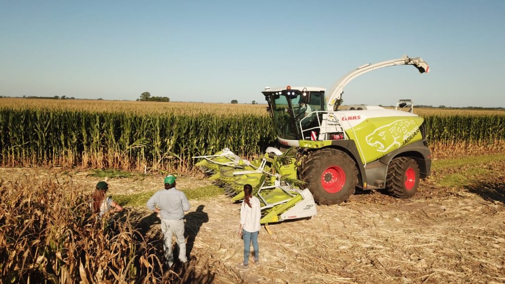 KWS realizó un nuevo "DAR" con el foco puesto en la genética y la agronomía 8 PHOTO 2020 03 05 21 03 39 2