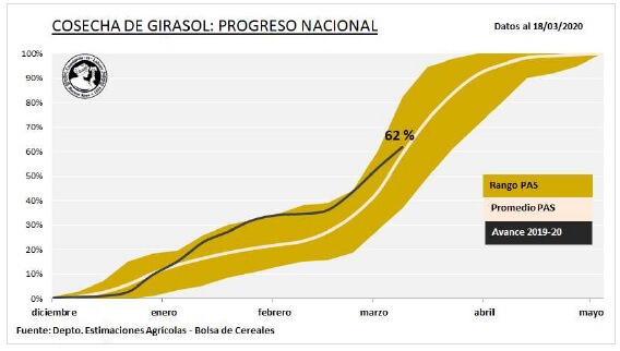 Avance de cosecha de girasol