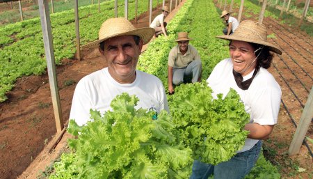 agricultura familiar