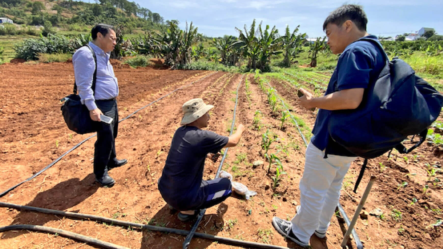 agricultores asiáticos