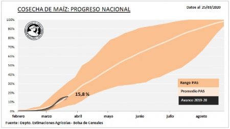 Maíz: se ralentizó la cosecha por falta de piso y para darle prioridad a la soja 1 avance de cosecha de maiz