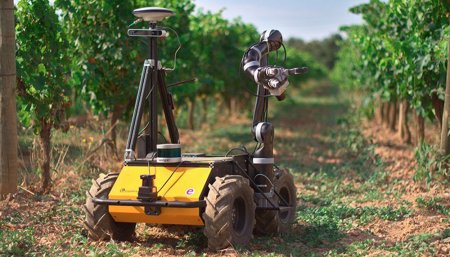 robot en el campo
