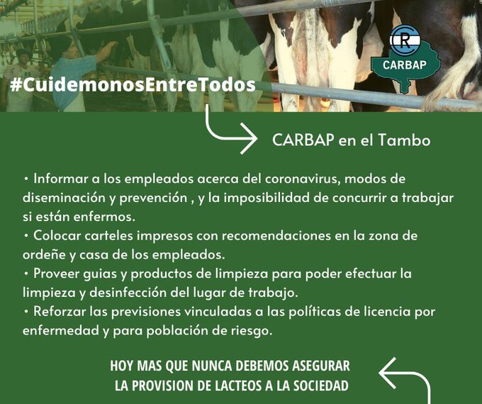 carbap tambo coronavirus infocampo
