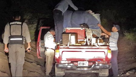 camioneta