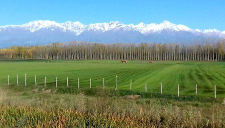 campo en mendoza