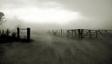 viento pampero en el campo