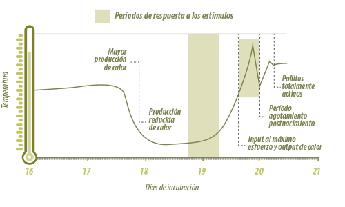 gráfico días de incubación