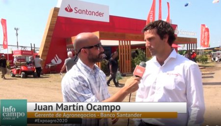 Juan Martin Ocampo