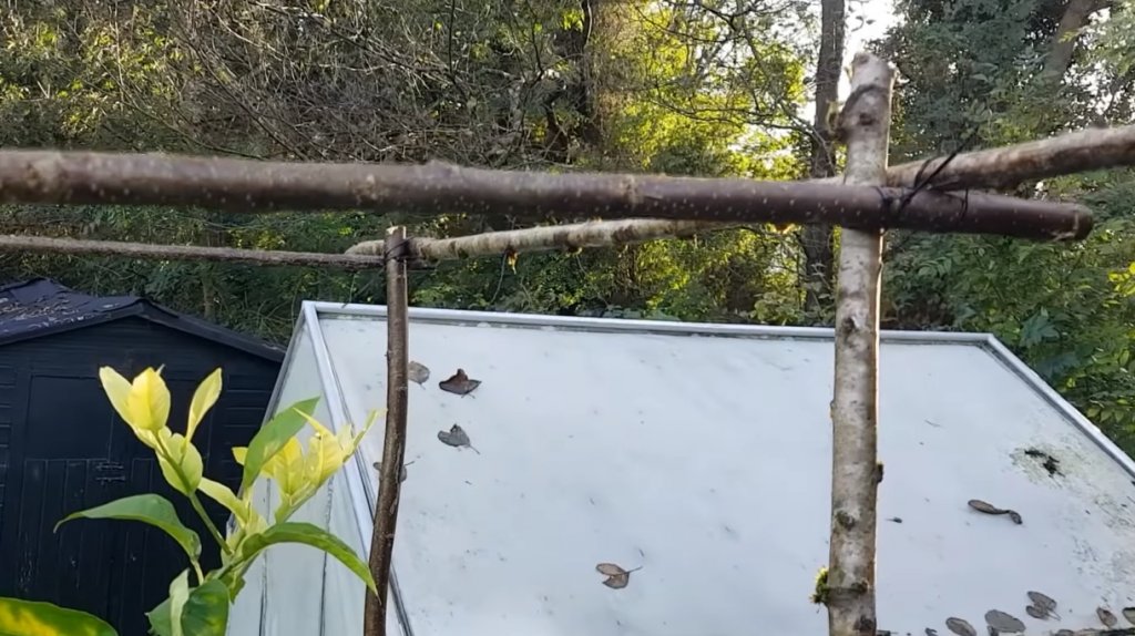 techo de palos