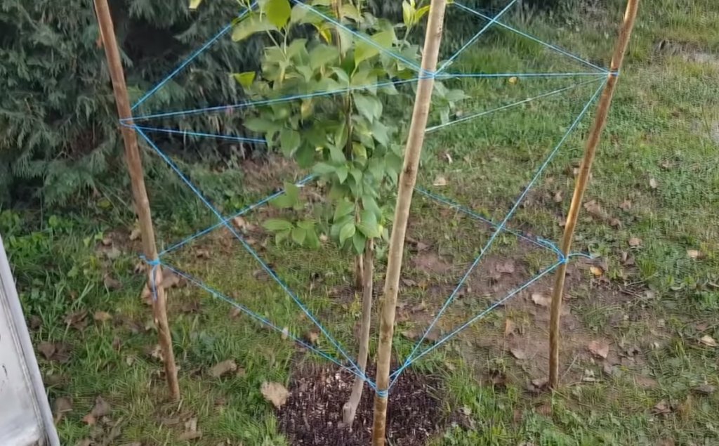estructura de hilos y palos