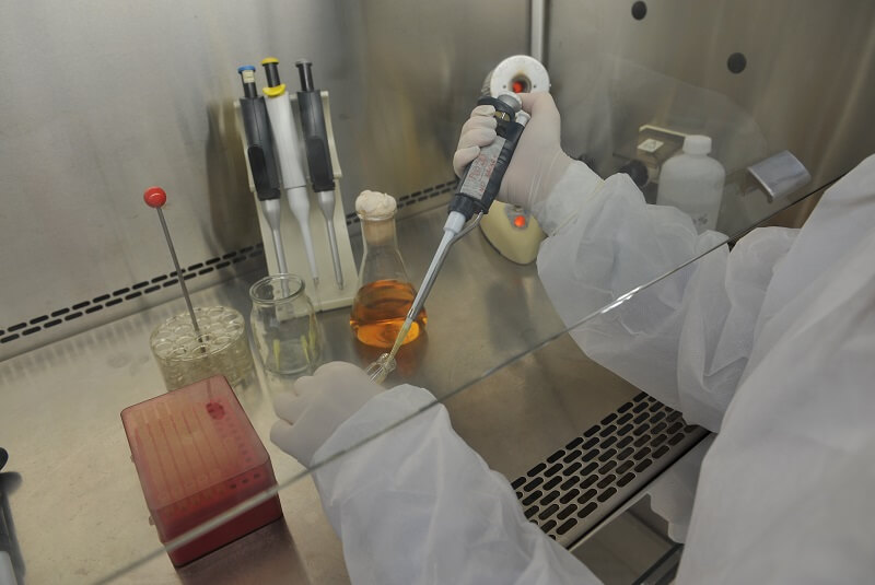 laboratorio