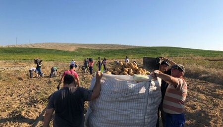 productores españa
