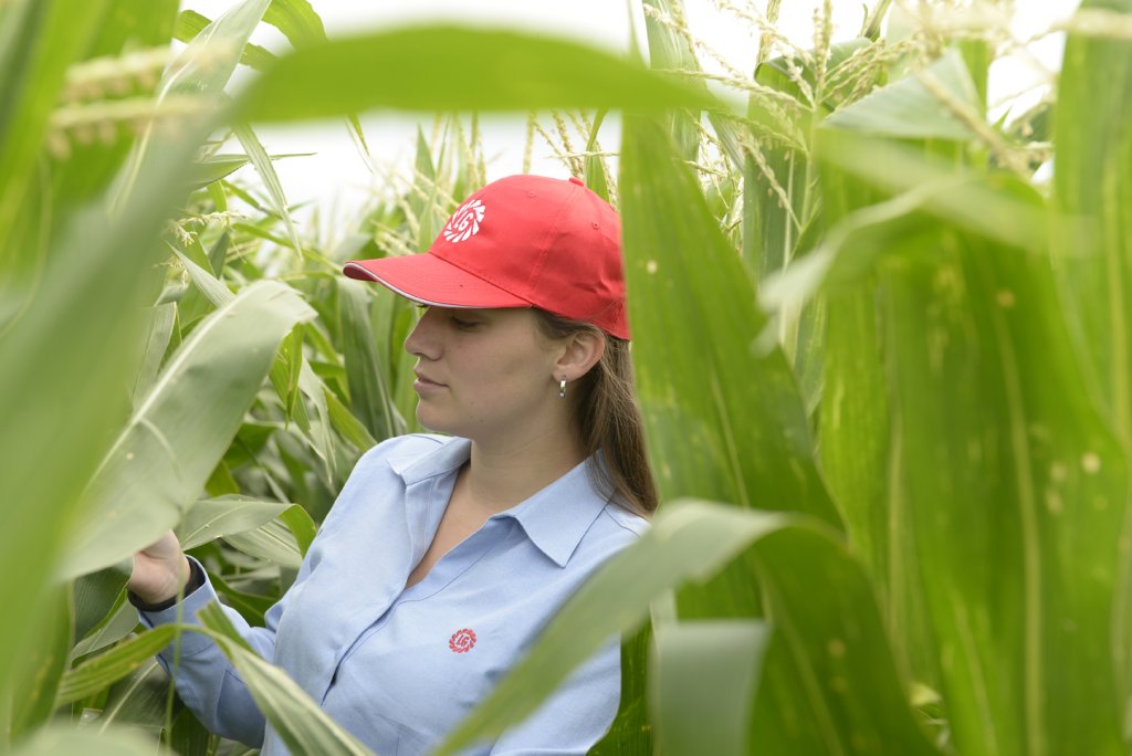 Limagrain lanzó en Expoagro su nuevo maíz con tecnología Víptera 3 2 limagrain mujer