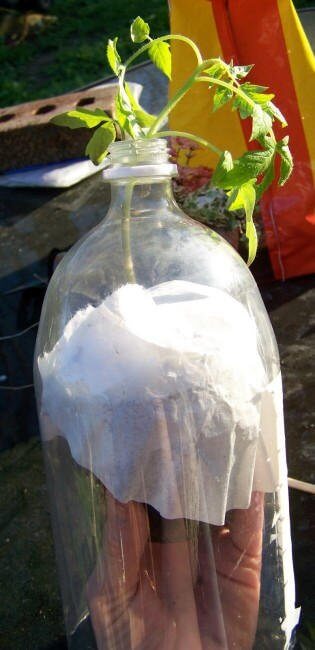botella plástico